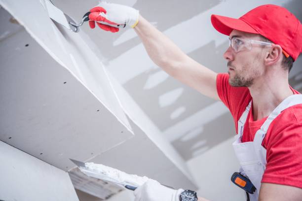  Sa Loma, CA Drywall & Painting Services Pros